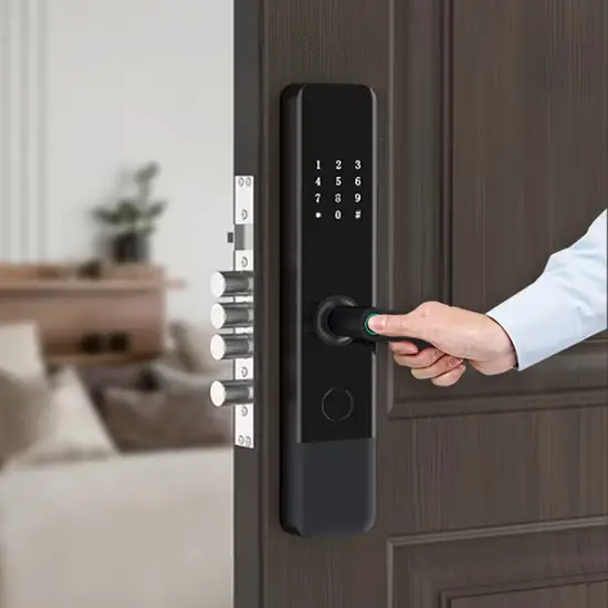 What-is-Smart-Door-Lock